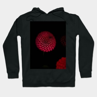 The Round Red Dahlia Hoodie